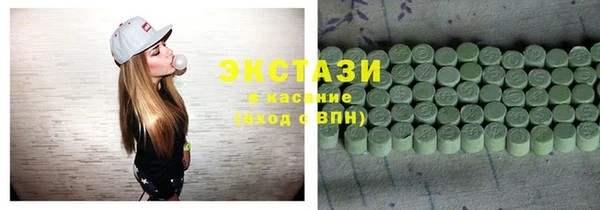 гашик Алексин