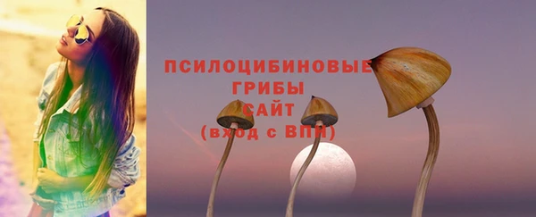 гашик Алексин