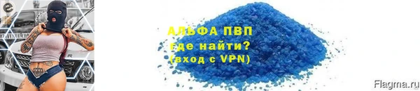 гашик Алексин