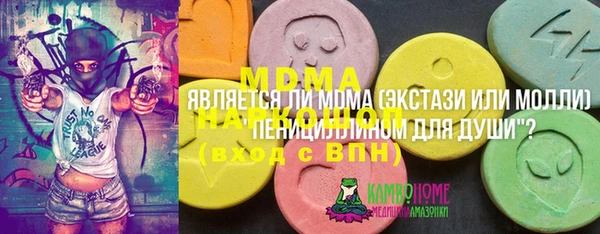 гашик Алексин