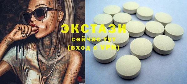 гашик Алексин