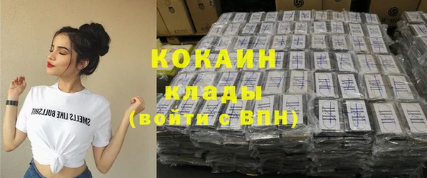 гашик Алексин
