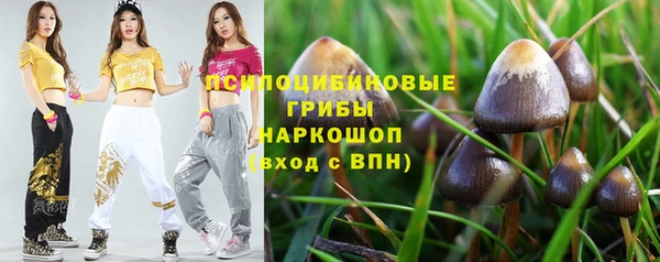 mdpv Алзамай