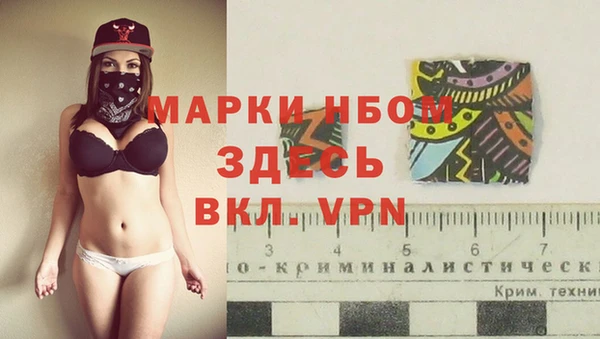 гашик Алексин